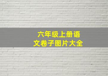 六年级上册语文卷子图片大全