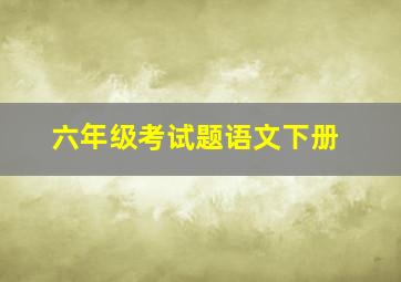 六年级考试题语文下册