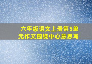 六年级语文上册第5单元作文围绕中心意思写