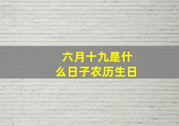 六月十九是什么日子农历生日