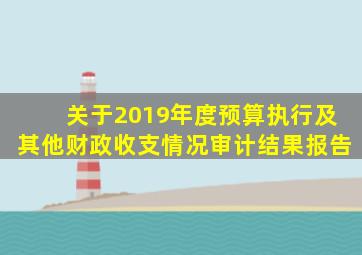 关于2019年度预算执行及其他财政收支情况审计结果报告