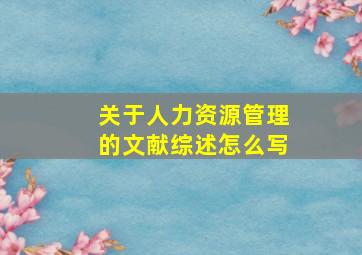 关于人力资源管理的文献综述怎么写