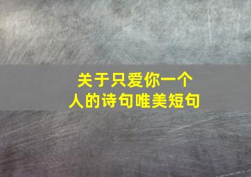 关于只爱你一个人的诗句唯美短句