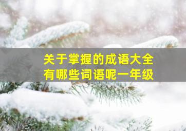 关于掌握的成语大全有哪些词语呢一年级