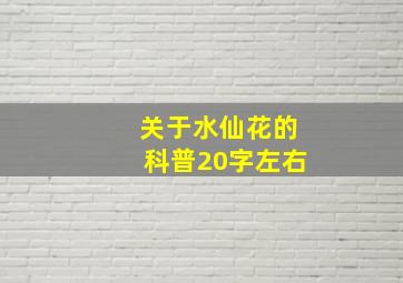 关于水仙花的科普20字左右