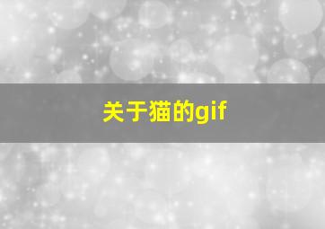 关于猫的gif