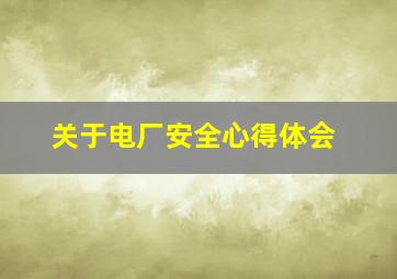 关于电厂安全心得体会