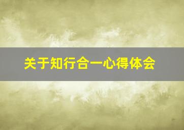 关于知行合一心得体会