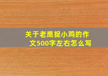 关于老鹰捉小鸡的作文500字左右怎么写