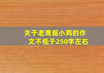 关于老鹰捉小鸡的作文不低于250字左右