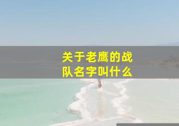 关于老鹰的战队名字叫什么