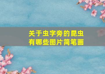 关于虫字旁的昆虫有哪些图片简笔画