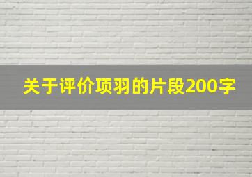 关于评价项羽的片段200字