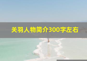 关羽人物简介300字左右