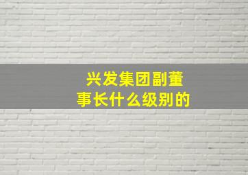 兴发集团副董事长什么级别的