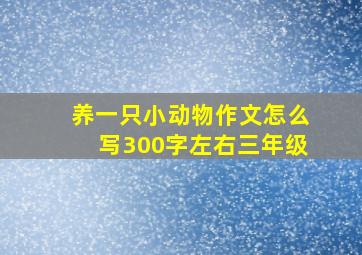 养一只小动物作文怎么写300字左右三年级