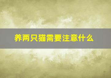 养两只猫需要注意什么