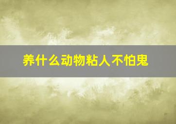 养什么动物粘人不怕鬼