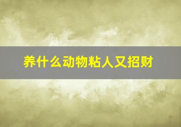 养什么动物粘人又招财