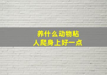 养什么动物粘人爬身上好一点