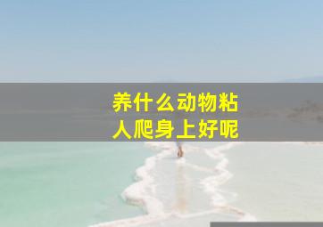 养什么动物粘人爬身上好呢