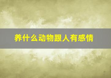 养什么动物跟人有感情