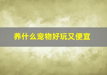 养什么宠物好玩又便宜