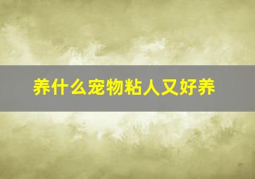 养什么宠物粘人又好养