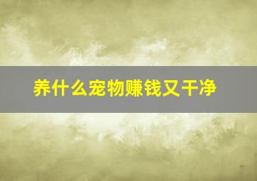 养什么宠物赚钱又干净