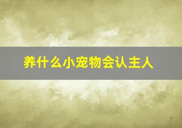 养什么小宠物会认主人