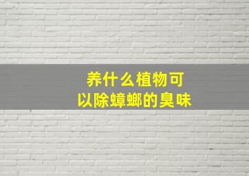 养什么植物可以除蟑螂的臭味