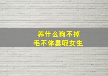 养什么狗不掉毛不体臭呢女生