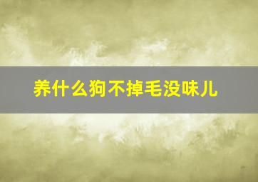 养什么狗不掉毛没味儿