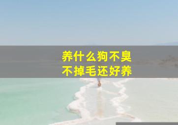 养什么狗不臭不掉毛还好养