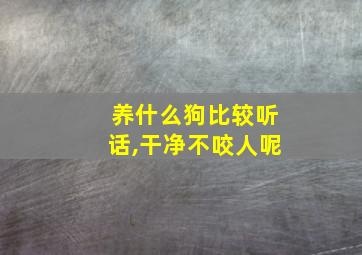 养什么狗比较听话,干净不咬人呢