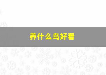 养什么鸟好看