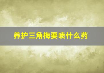 养护三角梅要喷什么药