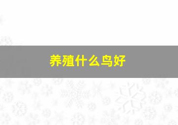 养殖什么鸟好