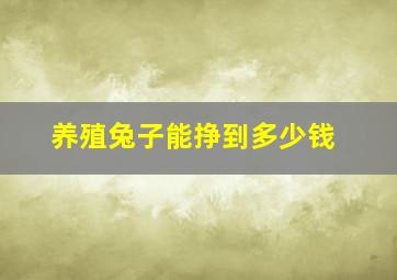 养殖兔子能挣到多少钱