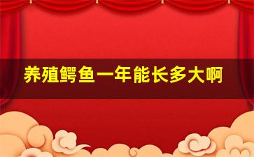 养殖鳄鱼一年能长多大啊