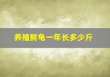 养殖鳄龟一年长多少斤