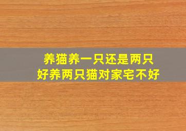 养猫养一只还是两只好养两只猫对家宅不好