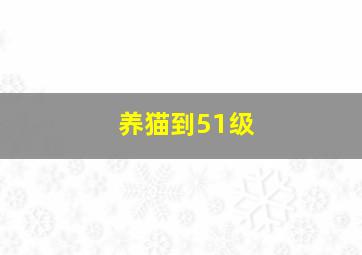 养猫到51级