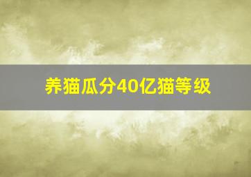 养猫瓜分40亿猫等级