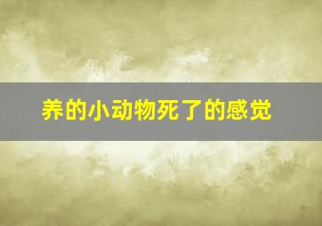 养的小动物死了的感觉