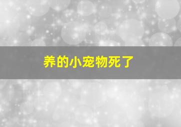 养的小宠物死了