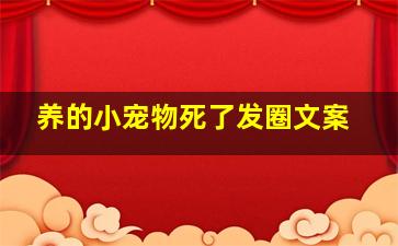 养的小宠物死了发圈文案