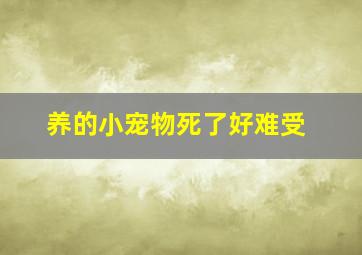 养的小宠物死了好难受