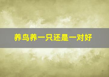 养鸟养一只还是一对好