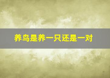 养鸟是养一只还是一对